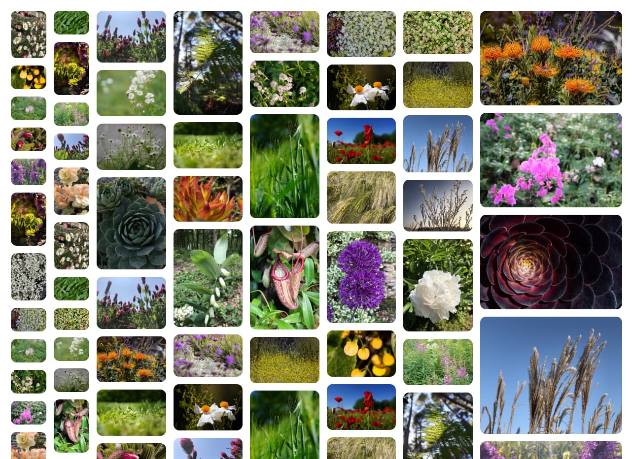 다양한 트랙 크기가 있는 벽돌 레이아웃