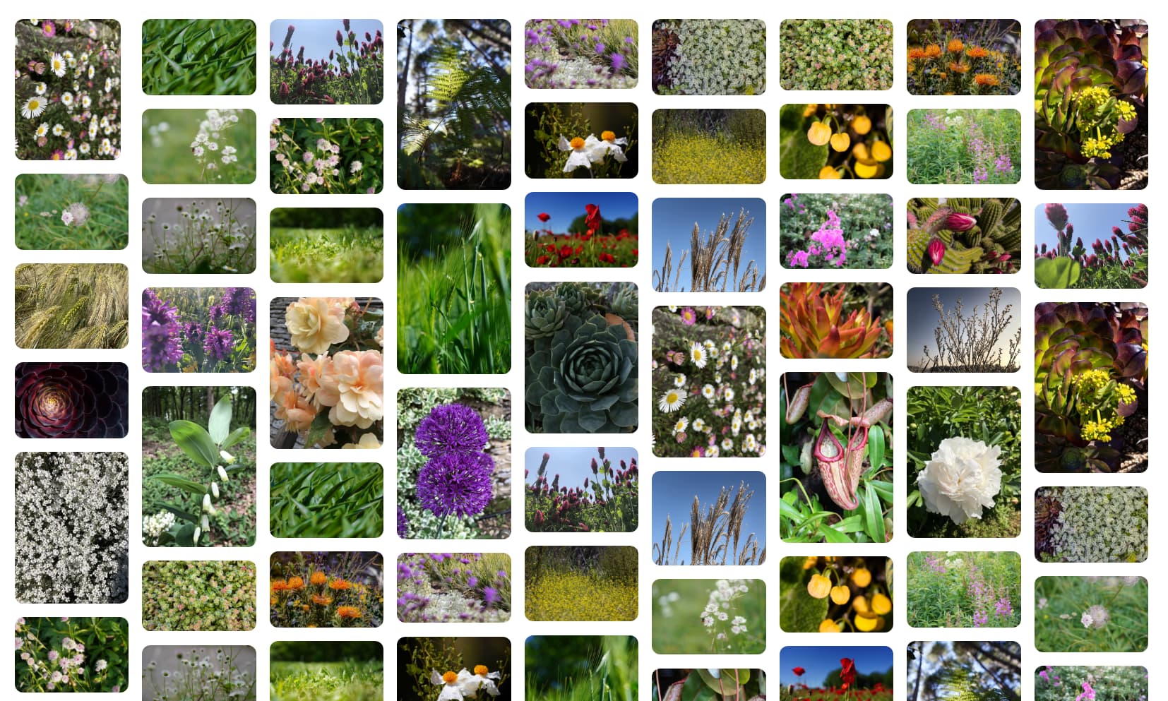 Layout em alvenaria com colunas de tamanho automático.