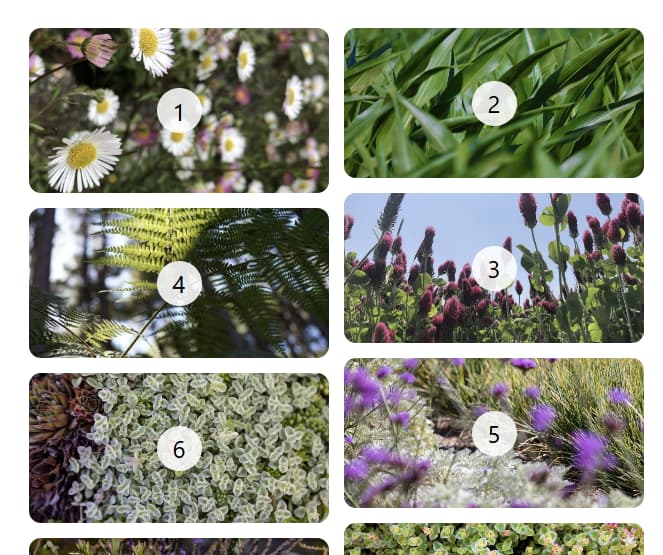 दो कॉलम वाला मेसनरी लेआउट.