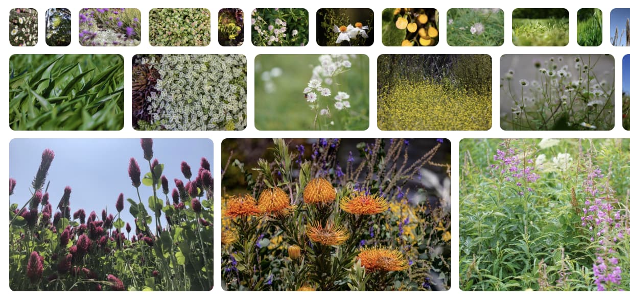 פריסת בנייה עם שלוש שורות שגדלות בהדרגה.