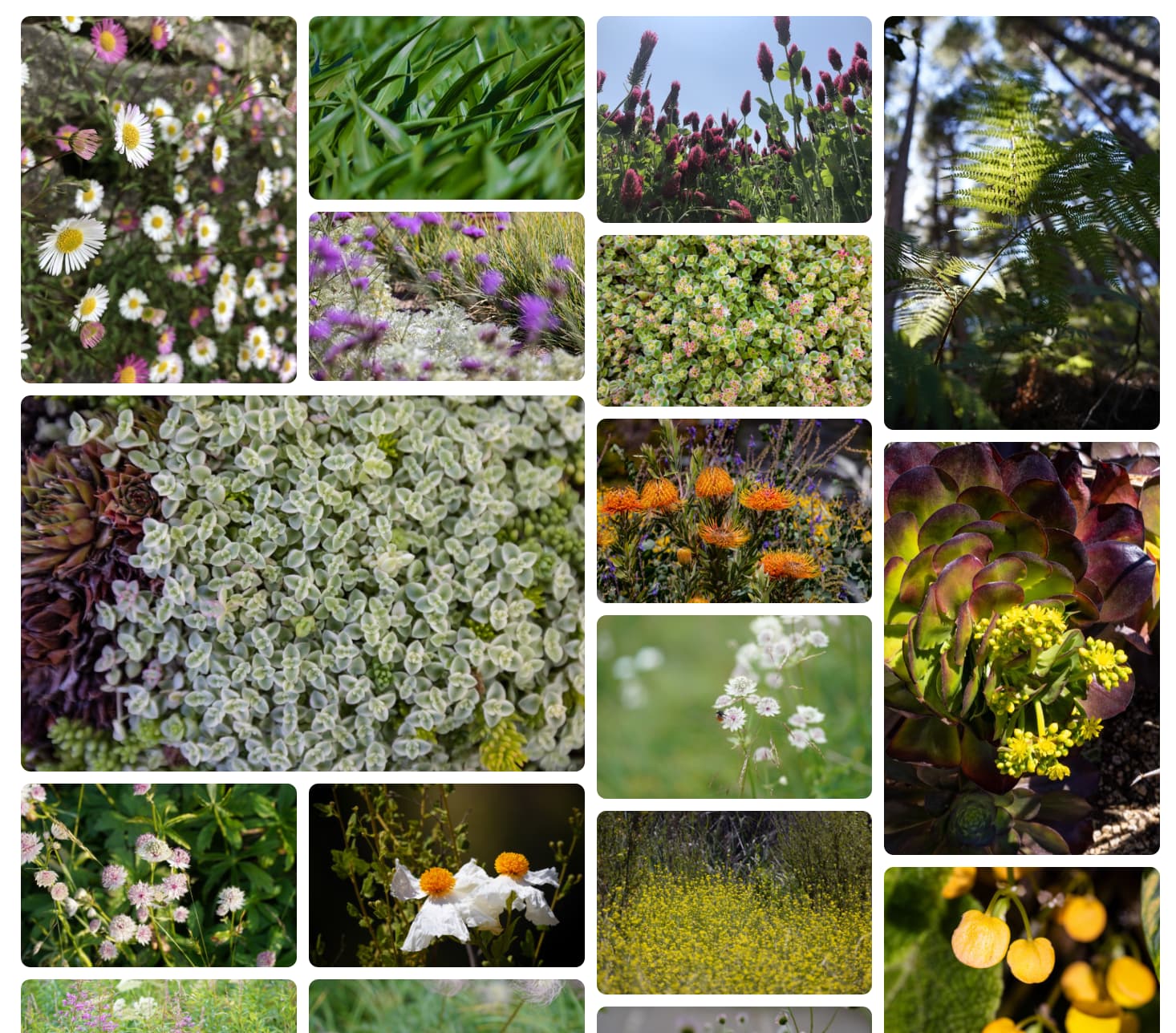 Układ kaskadowy z elementami obejmującymi wiele ścieżek.