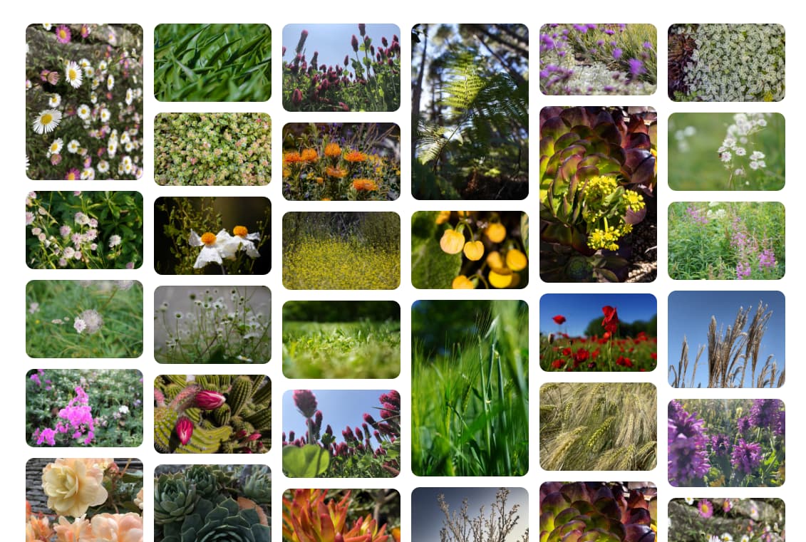 Mise en page en mosaïque où toutes les colonnes ont la même taille.