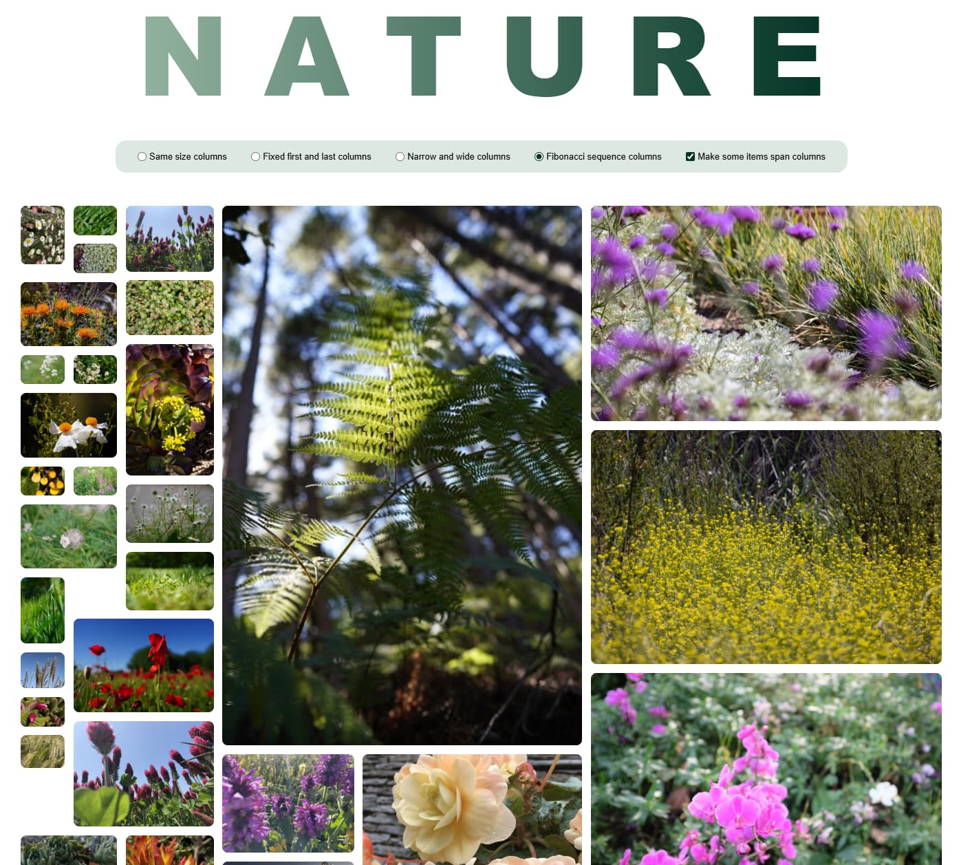 একটি ফটোগ্রাফি সাইট রাজমিস্ত্রি বিন্যাস.