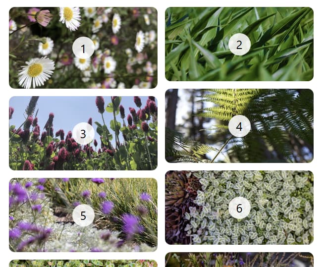 兩欄的砌磚式版面配置。