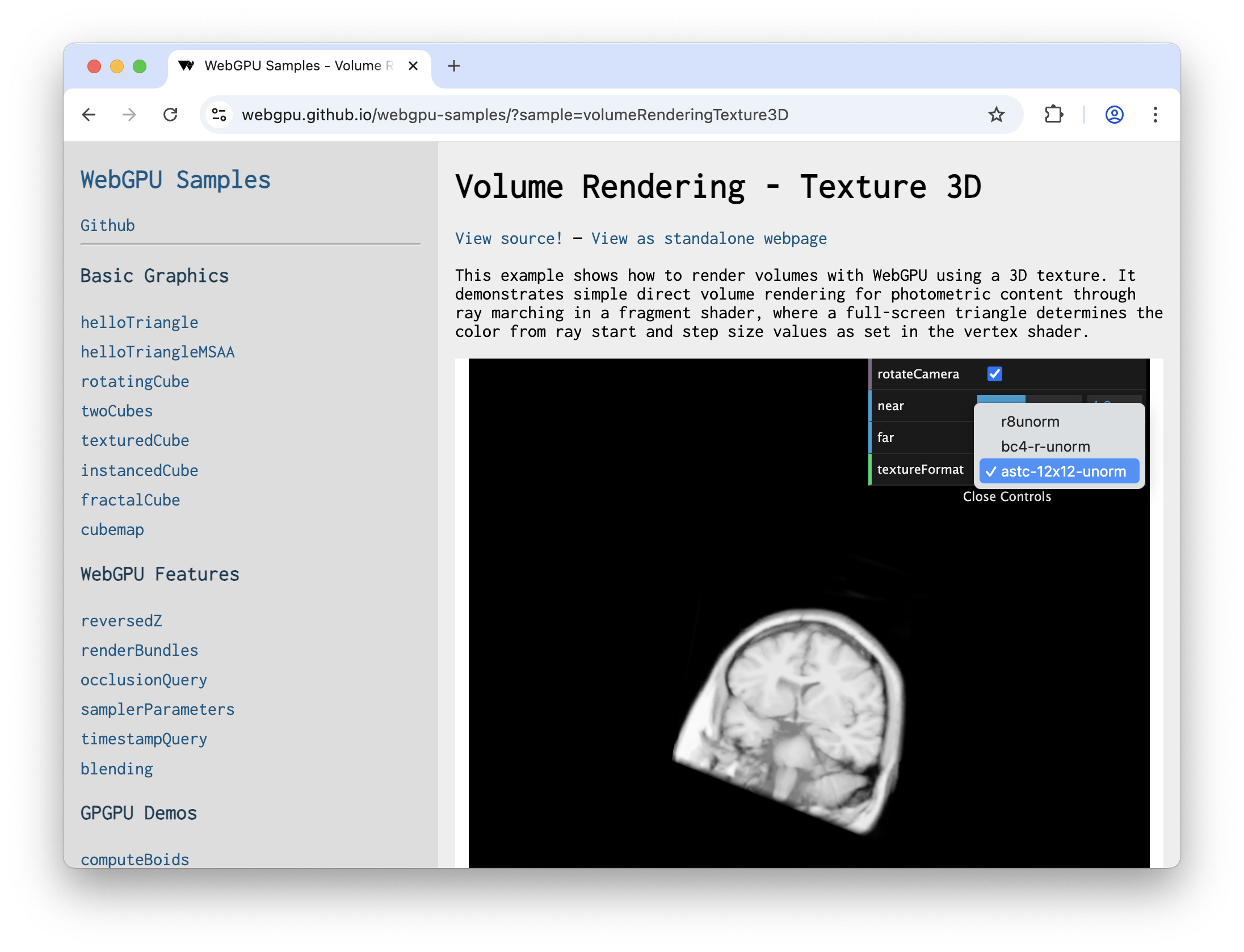 Mit WebGPU gerenderte 3D-Gehirnscans.